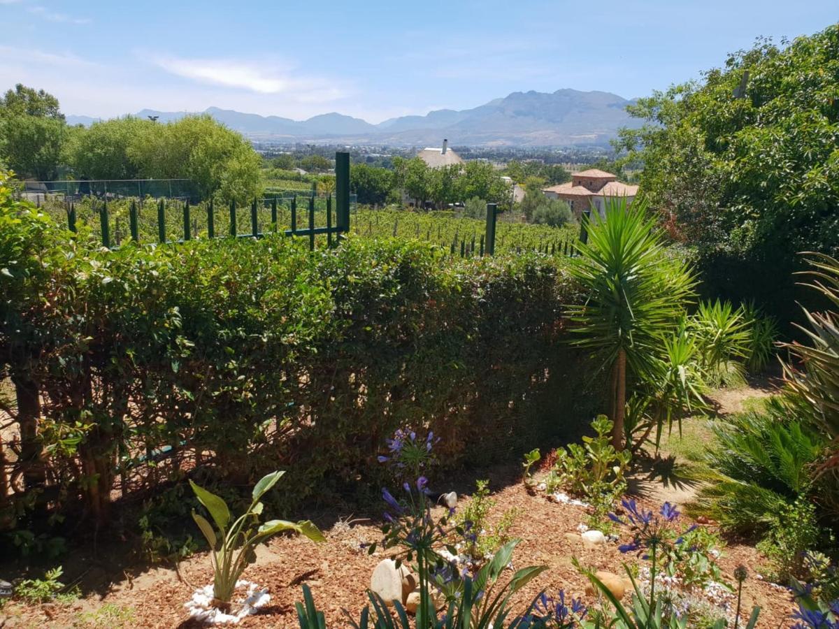 De Wingerd Wijnland Lodge Paarl Zewnętrze zdjęcie