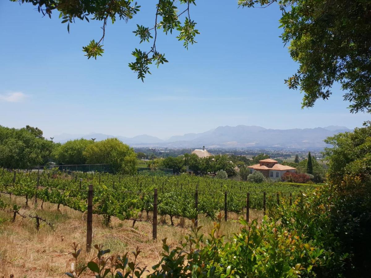 De Wingerd Wijnland Lodge Paarl Zewnętrze zdjęcie