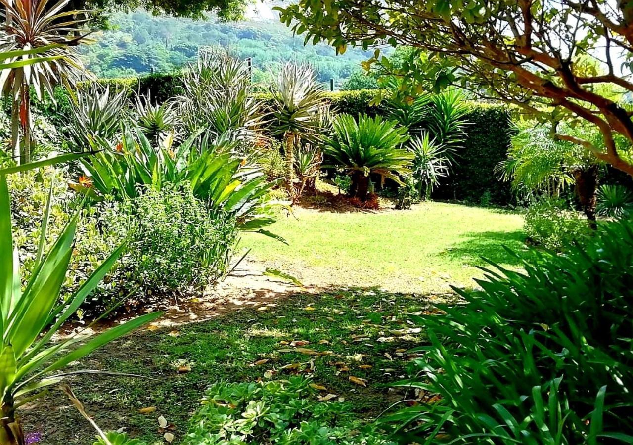 De Wingerd Wijnland Lodge Paarl Zewnętrze zdjęcie