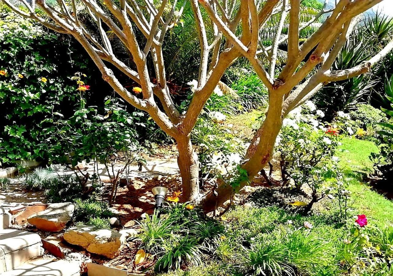 De Wingerd Wijnland Lodge Paarl Zewnętrze zdjęcie